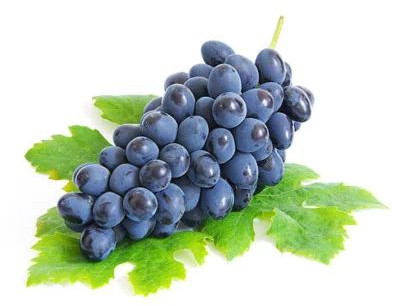 Fresh Black Grapes