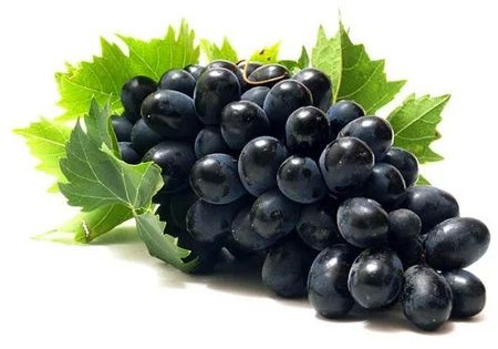 Fresh Black Grapes