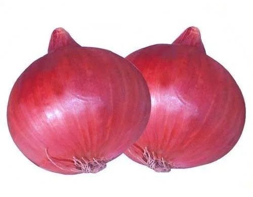 Pink Onion