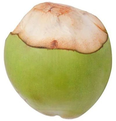 Small Tender Coconut