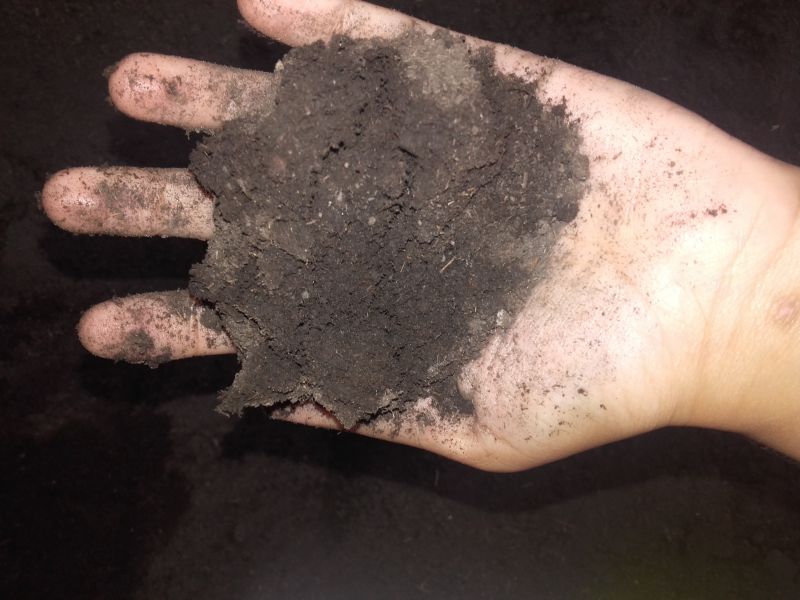 Bone Meal Fertilizer