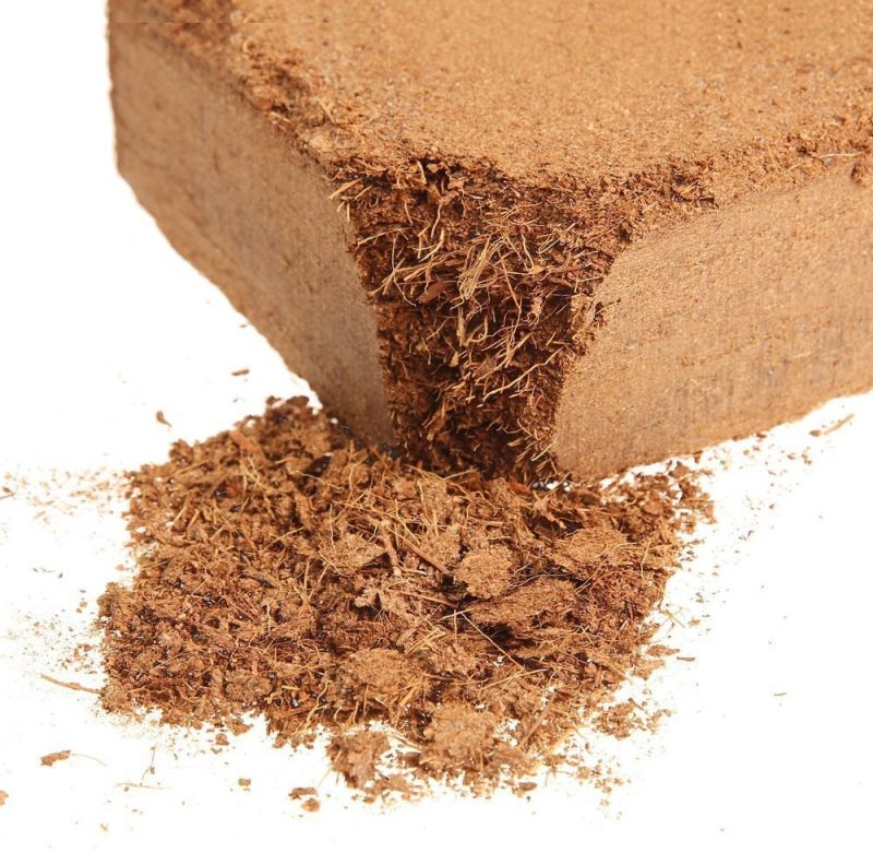 Buffered Quality Coir Pith Block For Seed Germination