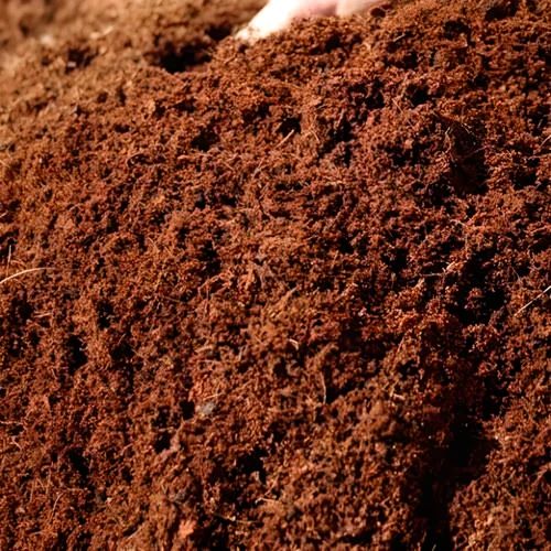 Coco Peat Manure