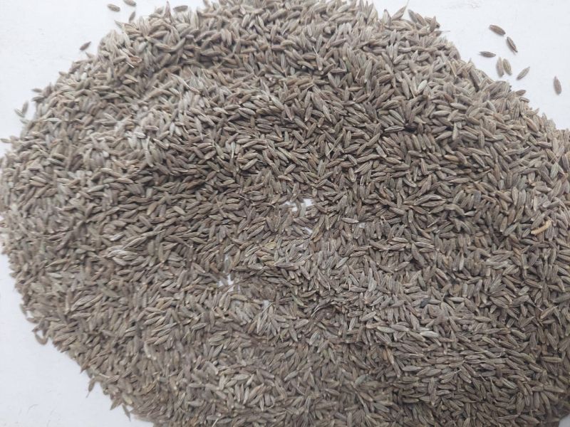 Cumin Seeds