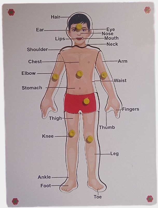 TE-39 Wooden Boy Body Parts Puzzle