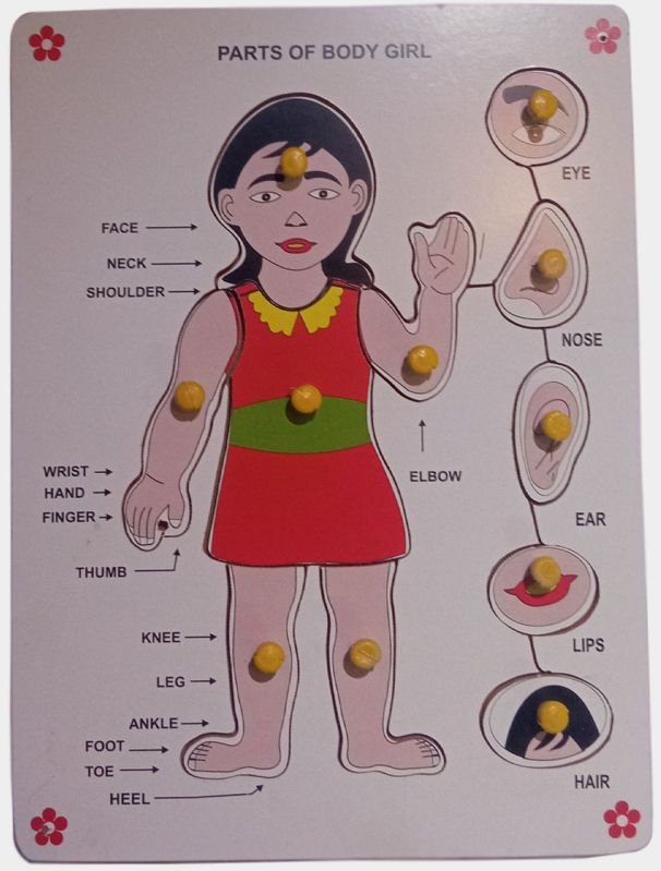 TE-40 Wooden Girl Body Parts Puzzle