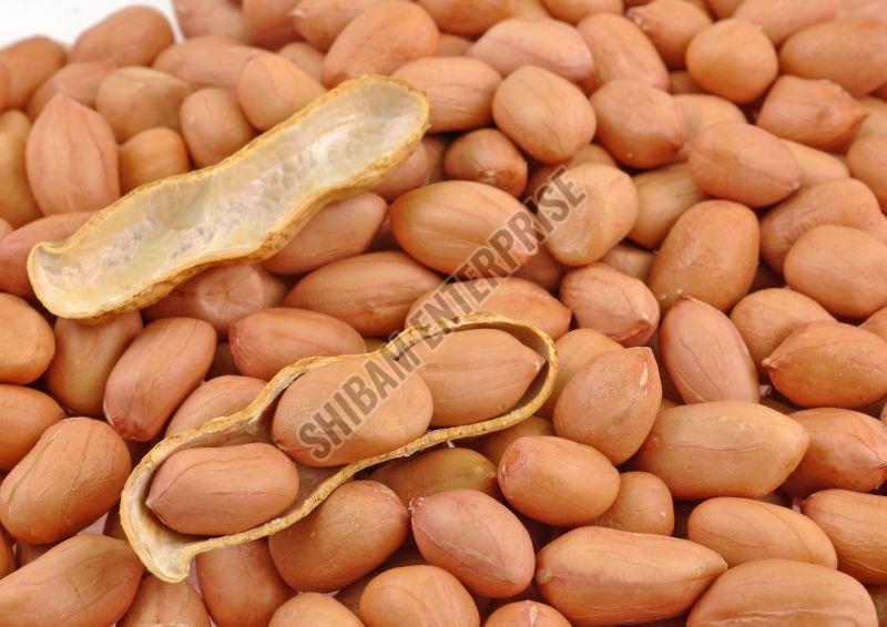 Java Peanuts