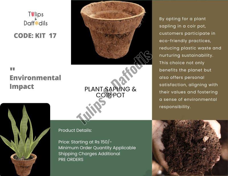 Garden Pottery Planter