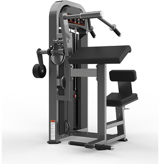 Triceps Extension Machine