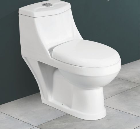 720mmx395mmX685mm One Piece Closet Toilet