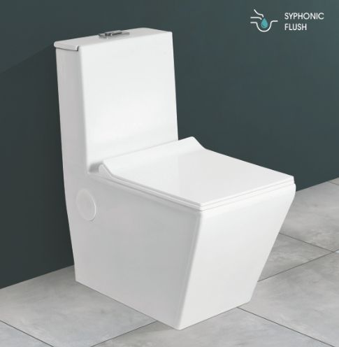 720mmx376mmX794mm One Piece Closet Toilet