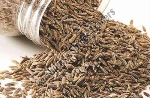 Cumin Seed