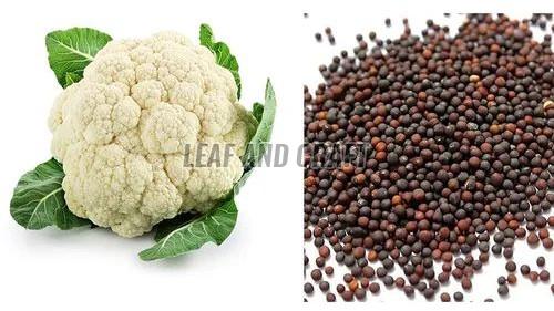 Cauliflower Seeds