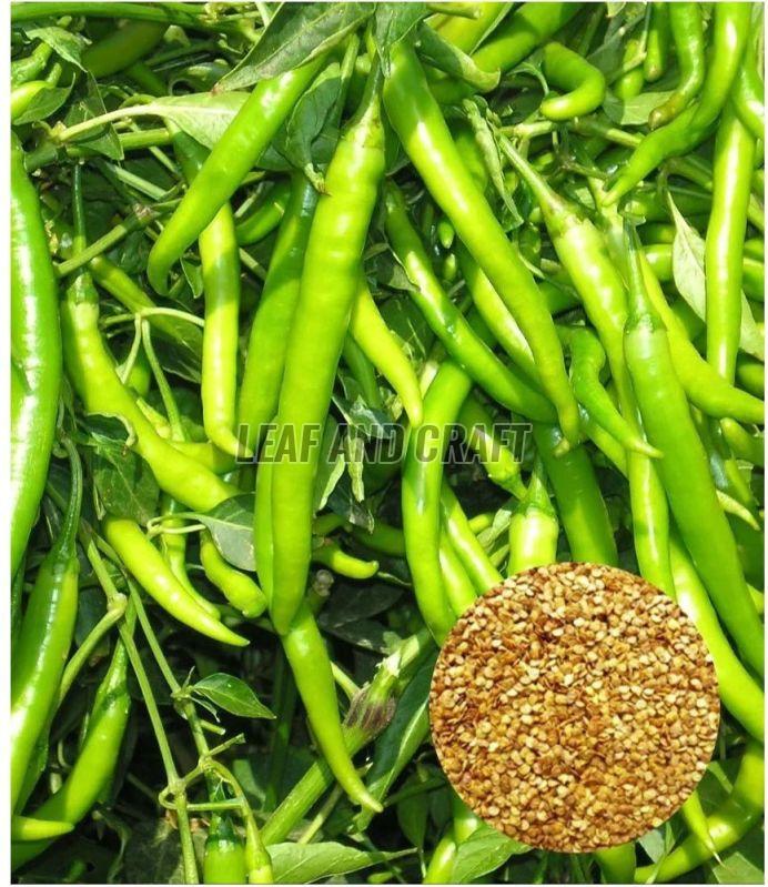 Green Chilli Seeds