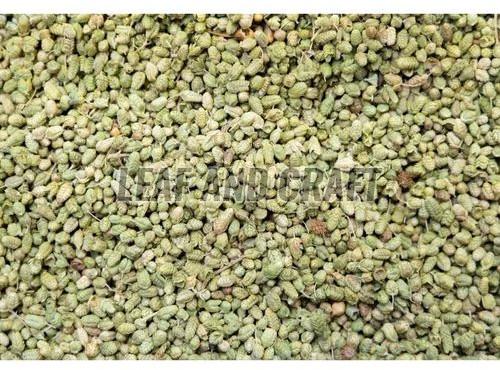 Oregano Seeds