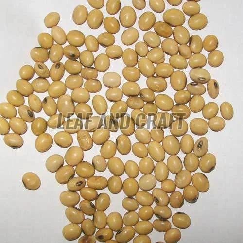 Round Brinjal Seeds