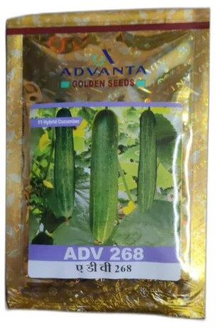 Advanta ADV 268 Hybrid Cucumber Seeds