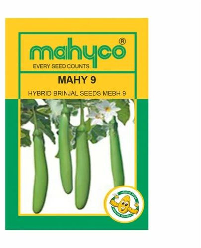 Mahyco Brinjal MAHY 9 Seeds