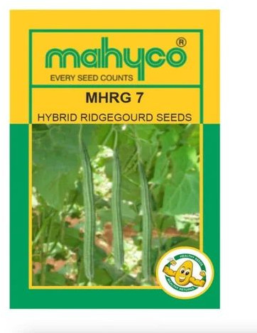 Mahyco MHRG 7 Ridge Hybrid Gourd Seeds