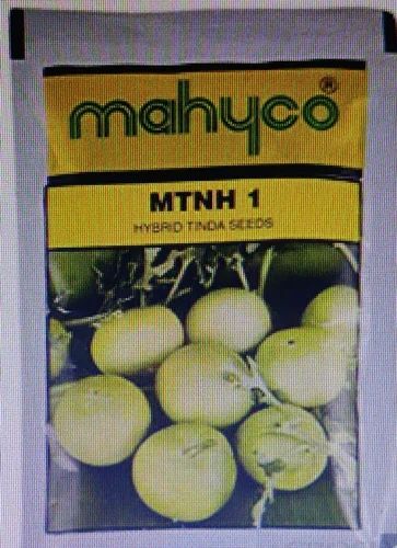 Mahyco MTNH 1 Hybrid Tinda Seeds