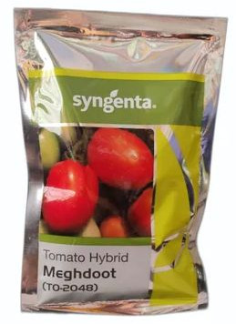 Syngenta TO-2048 Meghdoot Tomato Hybrid Seeds