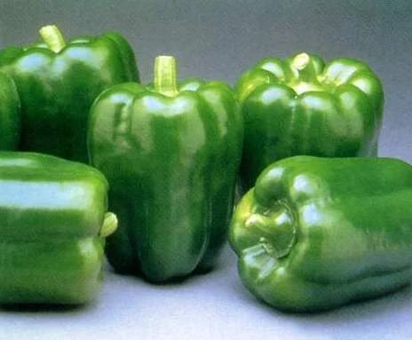 Fresh Green Capsicum