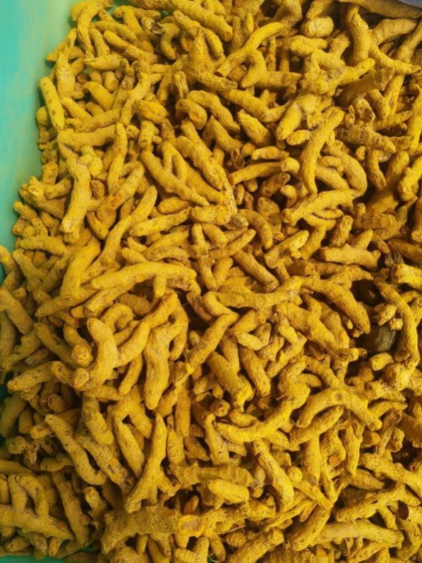 Dried Turmeric Fingure