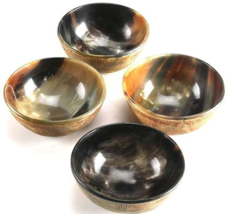 Stylish Horn Bowl