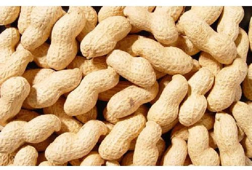 Whole Groundnut