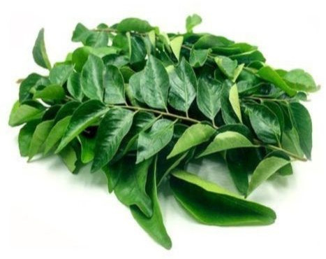 Fresh Curry Leaves