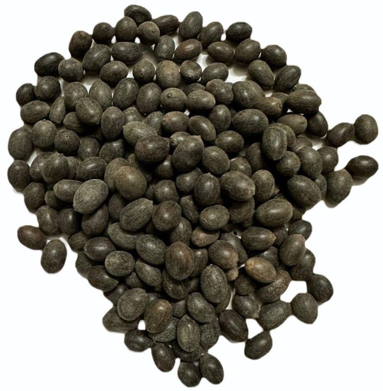 Organic Black Lotus Seeds