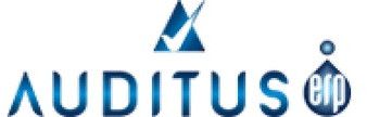 Auditing Services