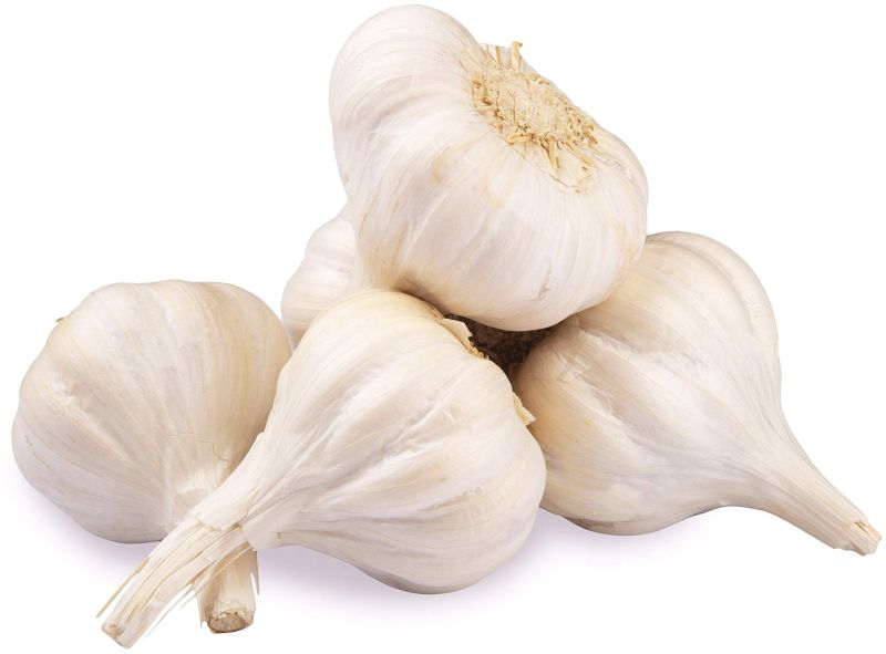 Fresh Desi Garlic