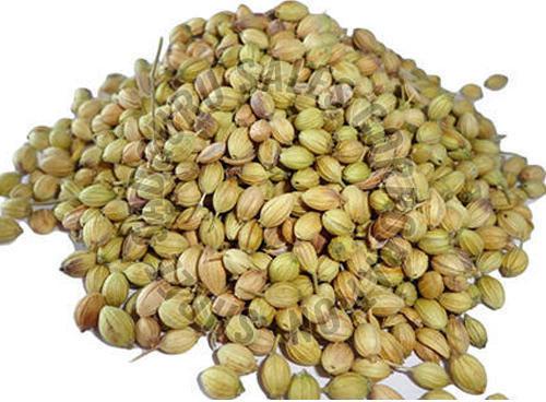 Dried Coriander Seeds