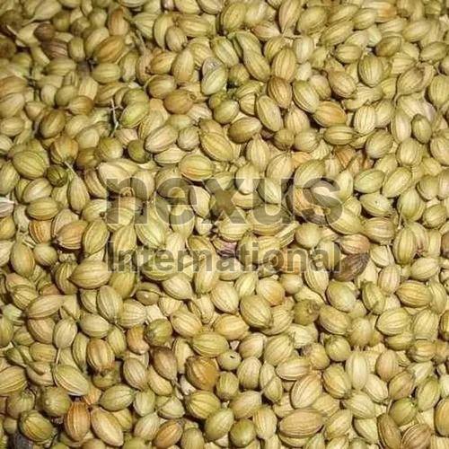 Coriander Seed