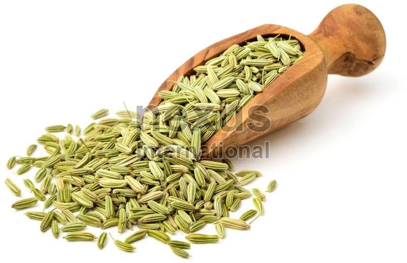 Fennel Seed