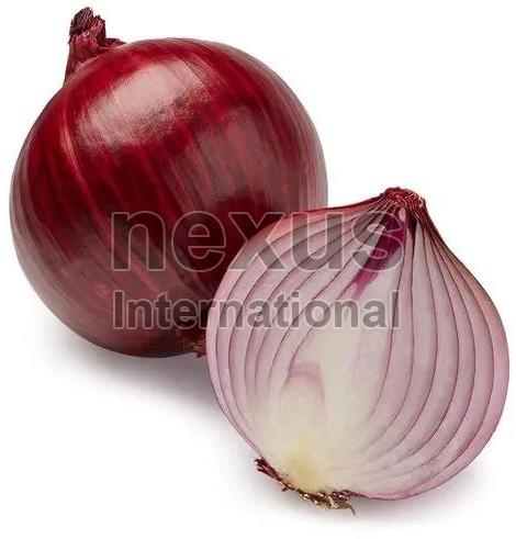 Fresh Onion