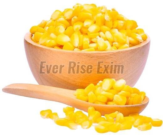 Corn Kernels