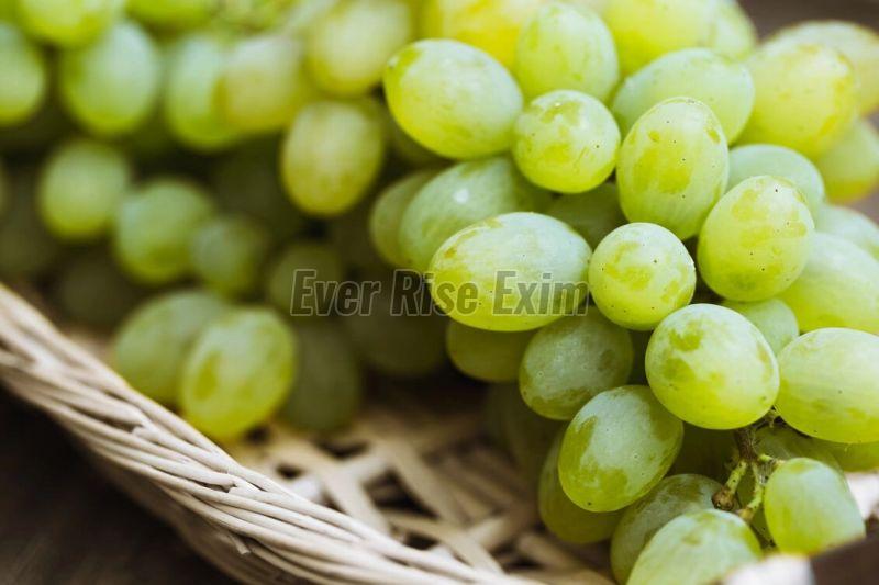 Fresh Grapes