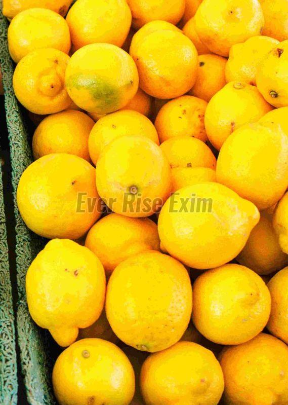 Fresh Yellow Lemon