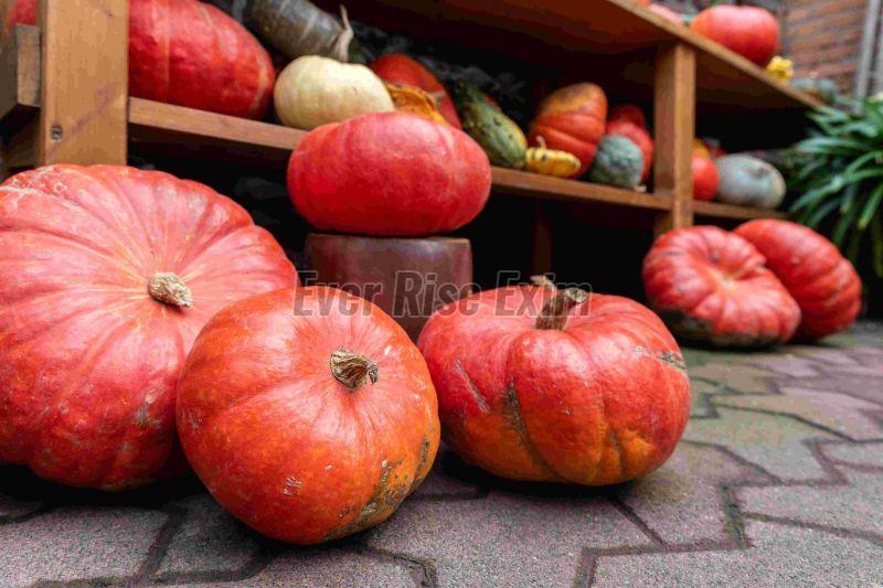 Fresh Red Pumpkin