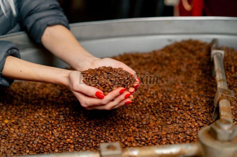 Robusta Coffee Beans