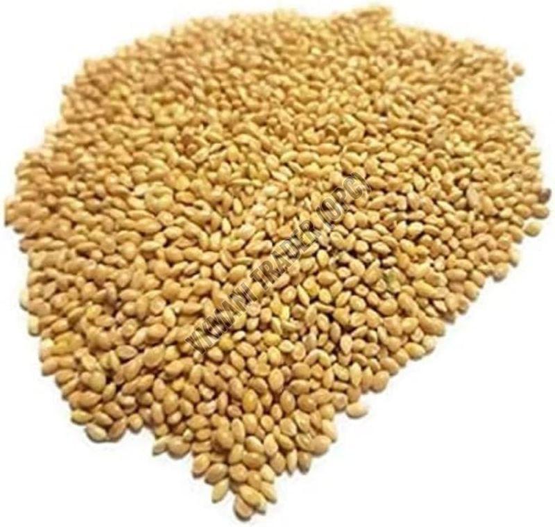 Foxtail Millet Seeds