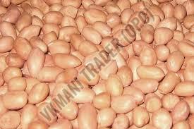 Java Peanut Seeds