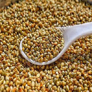 Natural Millet Seeds