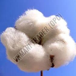 Virgin Raw Cotton