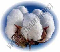 Washable Raw Cotton