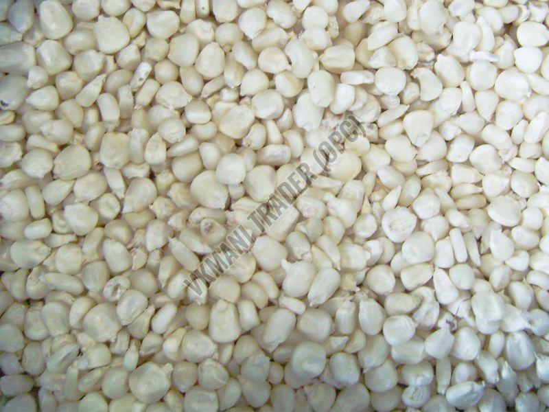 White Maize Seeds