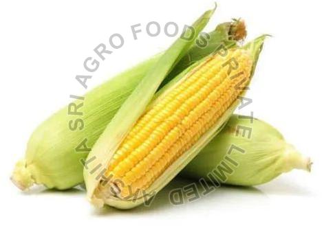 Fresh Maize