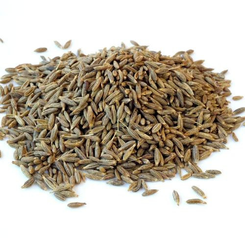 Organic Cumin Seeds